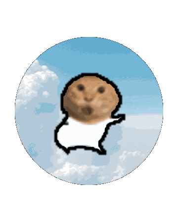 meme rotate_3d